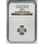 Sigismund II August, Denarius Vilnius 1554 - NGC MS62