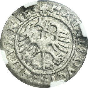 Sigismund I the Old, 1/2 Groschen Vilnius 1528 - NGC AU53 - VERY RARE, MOИEA error