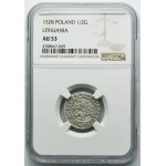 Sigismund I the Old, 1/2 Groschen Vilnius 1528 - NGC AU53 - VERY RARE, MOИEA error