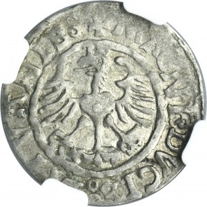 Sigismund I the Old, Half groschen Vilnius 1526 - NGC AU55 - VERY RARE, SICISMVNDI error