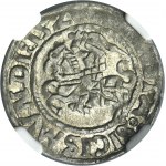 Sigismund I the Old, Half groschen Vilnius 1526 - NGC AU55 - VERY RARE, SICISMVNDI error