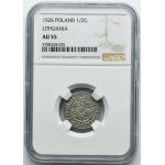 Sigismund I the Old, Half groschen Vilnius 1526 - NGC AU55 - VERY RARE, SICISMVNDI error