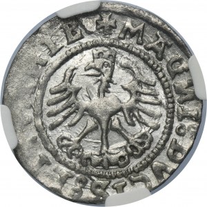 Sigismund I the Old, 1/2 Groschen 1527 - NGC MS61 - VERY RARE, SIGIMVAИDI error