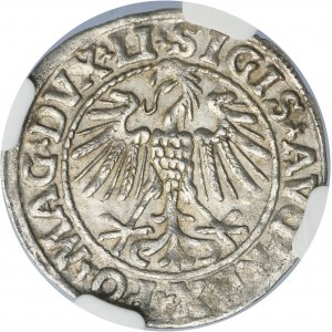 Sigismund II August, 1/2 Groschen Vilnius 1547 - LI/LITVA - NGC MS63