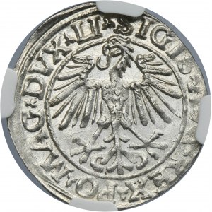 Sigismund II August, 1/2 Groschen Vilnius 1548 - LI/LITVA - NGC MS63