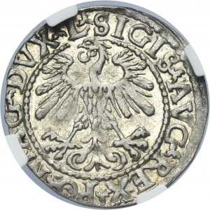 Sigismund II August, 1/2 Groschen Vilnius 1559 - L/LITVA - NGC MS61