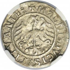 Sigismund I the Old, 1/2 Groschen Vilnius 1522 - NGC AU53