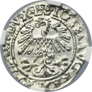 Sigismund II August, 1/2 Groschen Vilnius 1559 - L/LITVA - NGC MS62