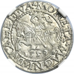 Sigismund II August, 1/2 Groschen Vilnius 1559 - L/LITVA - NGC MS62