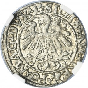 Sigismund II August, 1/2 Groschen Vilnius 1559 - L/LITVA - NGC MS62