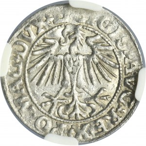 Sigismund II August, 1/2 Groschen Vilnius 1549 - LI/LITVA - NGC MS61