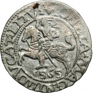 Sigismund II August, 1/2 Groschen Vilnius 1565 - L/LITV