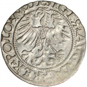 Sigismund II August, 1/2 Groschen Vilnius 1565 - L/LITV