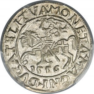 Sigismund II August, 1/2 Groschen Vilnius 1556 - LI/LITVA - PCGS MS63