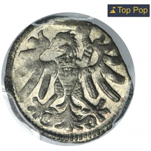 Sigismund I the Old, Denarius Elbing undated - PCGS MS63