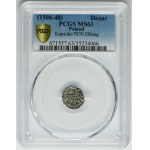 Sigismund I the Old, Denarius Elbing undated - PCGS MS63