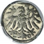 Sigismund I the Old, Denarius Elbing undated - PCGS MS63
