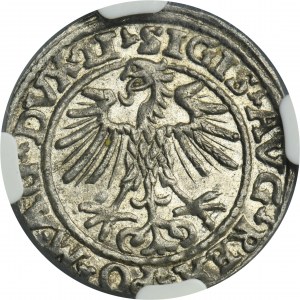 Sigismund II August, 1/2 Groschen Vilnius 1552 - LI/LITVA - NGC AU58