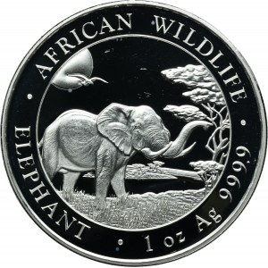 Somalia, 100 Shillings Munich 2019 - African elephant