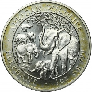 Somalia, 100 Shillings Munich 2008 - African elephant