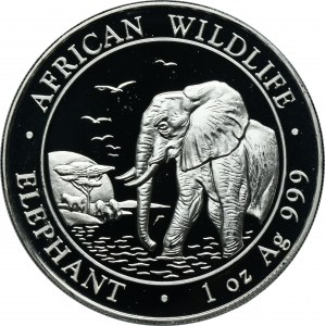 Somalia, 100 Shillings Munich 2010 - African elephant