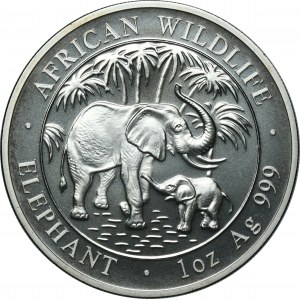 Somalia, 100 Shillings Munich 2007 - African elephant