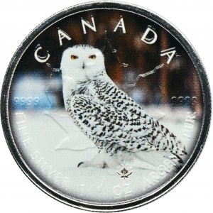 Canada, Elizabeth II, 5 Dollars 2021 - Snowy Owl