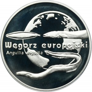 20 złotych 2003 Węgorz europejski