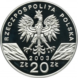 20 złotych 2003 Węgorz europejski