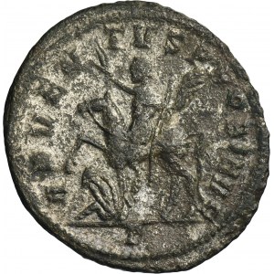 Roman Imperial, Probus, Antoninianus