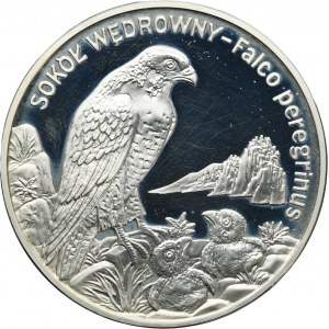 20 złotych 2008 Sokół