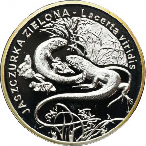 20 Gold 2009 Green Lizard