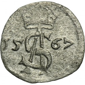 Sigismund II August, 2 Denarius Vilnius 1567