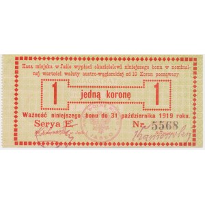 Jasło, 1 korona 1919