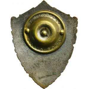 PSZnZ, Badge of the 4th Volhynian Infantry Brigade