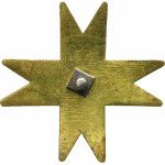 PSZnZ, Badge of the Podhalan Rifles Battalion