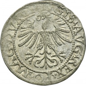 Sigismund II August, 1/2 Groschen Vilnius 1562 LI/LITV