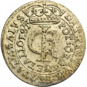John II Casimir, Tymf Bromberg 1666 AT - SALVS