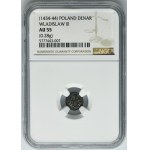 Ladislaus III of Varna, Denarius Krakau undated - NGC AU55