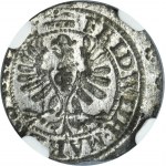 Duchy of Prussia, Friedrich Wilhelm, Schilling Königsberg 1653 - NGC MS64