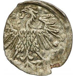 Sigismund II August, Denarius Vilnius 1560 - RARE