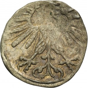 Sigismund II August, Denarius Vilnius 1563 - RARE
