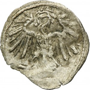 Sigismund II August, Denarius Vilnius 1551 - VERY RARE