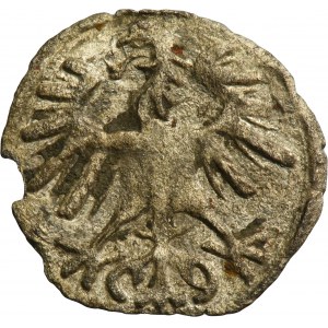 Sigismund II August, Denarius Vilnius 1554