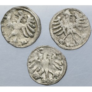 Lot, Alexander Jagiellon, Denarius Vilnius (3 pcs.)