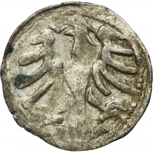 Alexander Jagiellon, Denarius Vilnius no date - renaissance A