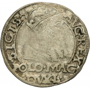Sigismund II August, Groschen Tykocin 1566 - L/LIT