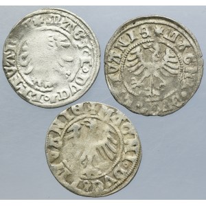 Lot, Alexander Jagiellon, Half groschen (3 pcs.)