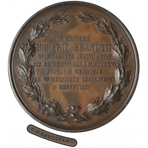 Russia, Johann Ferdinand Brandt, Medal 50th Anniversary of Obtaining the Degree of Doctor of Medicine 1876