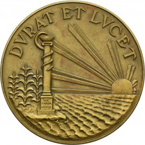 Medal 60th anniversary of the foundation of the Pharmaceutical Society in Lviv 1928